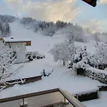 Juffinger 蒂尔塞